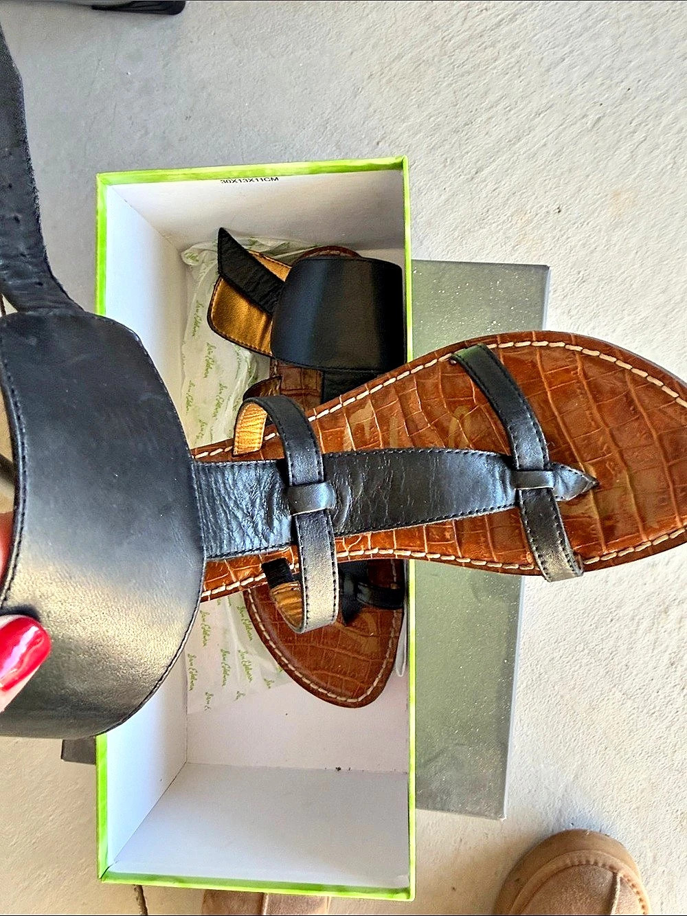 Sam Edelman Gigi Sandal Flat Thong in Black & Brown